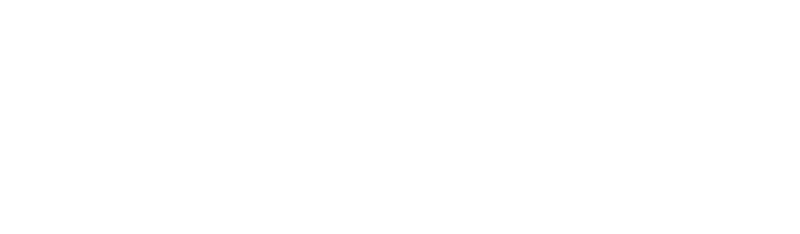 Pinnacle Auto Group